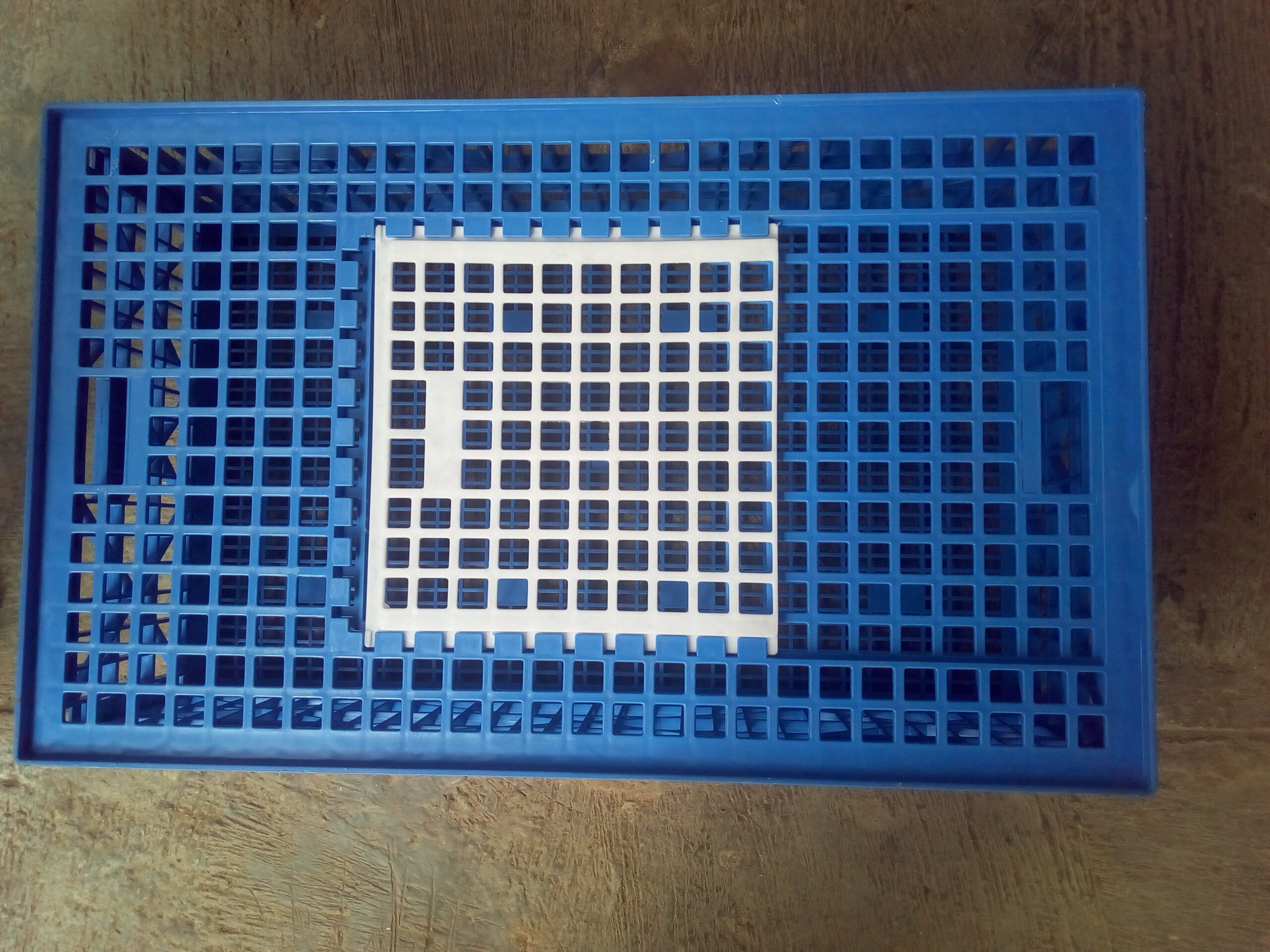 Live Chicken transport crate Blue Live transport crate with sliding access door