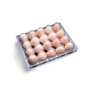 Transparent chicken egg crates-30 holes