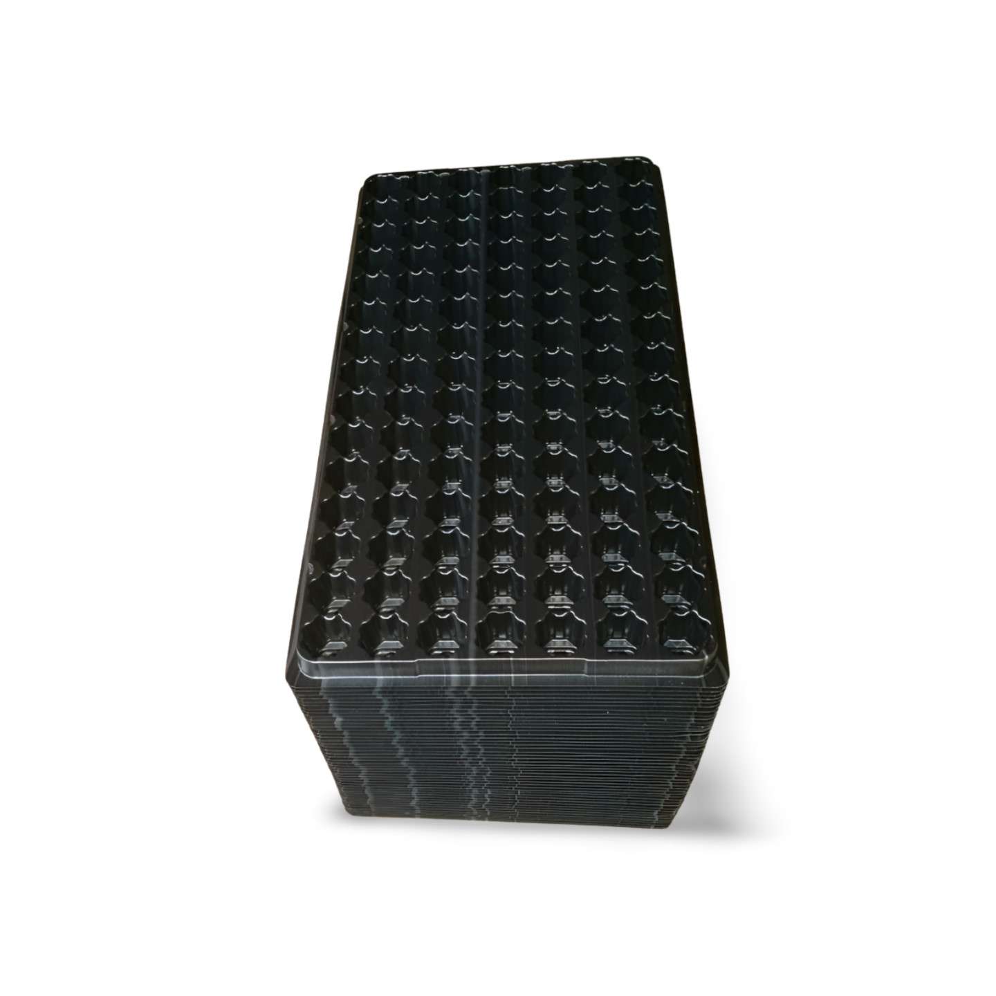 Nursery_trays Nursery trays for seeds