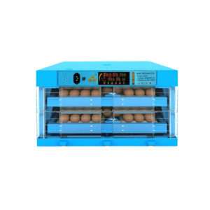 Portable incubator for eggs