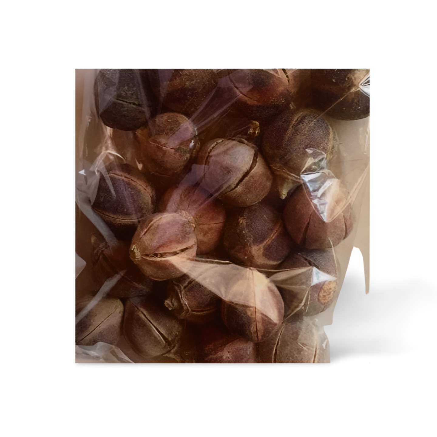 Gorontula_fruits