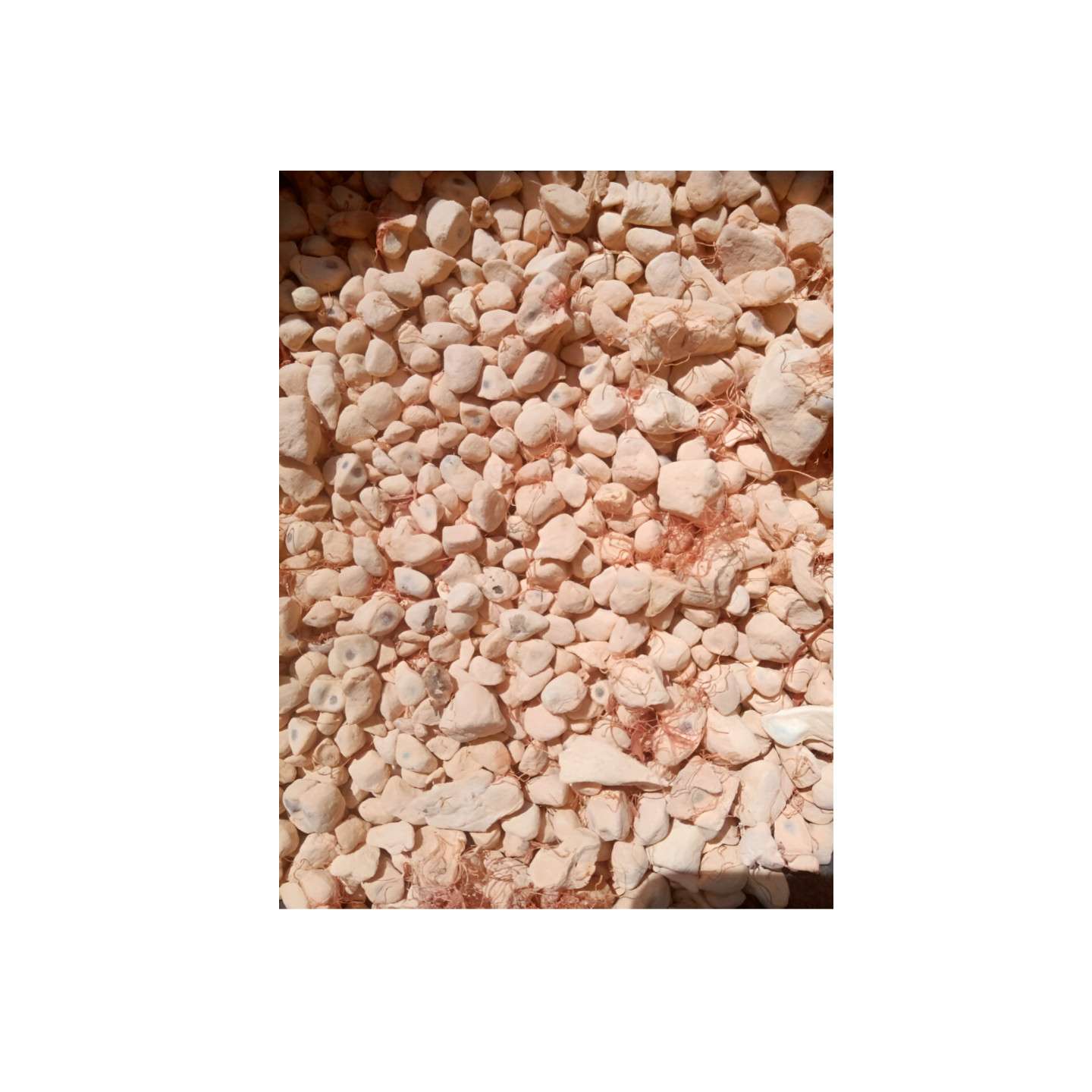 Boabab_fruit_Powder1 Boabab Fruit Powder