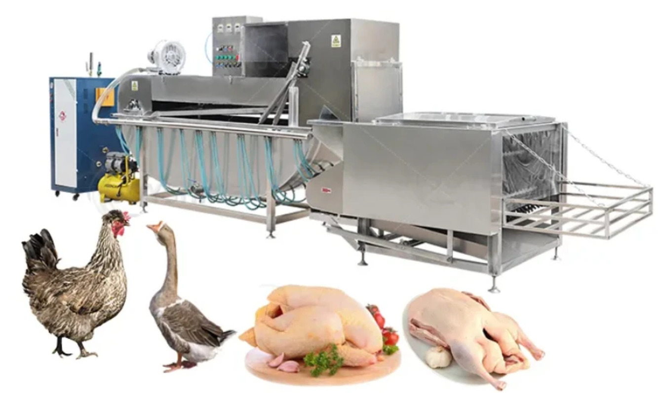 Simple Guide and Benefits of Using Defeathering Machines -Vertical Chicken Plucker Machine