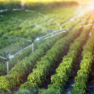 Solar powered irrigation