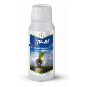Velum prime Agricultural Nematicide and fungicide for plants