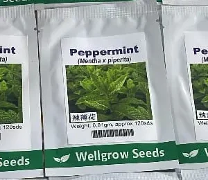 Wellgrow peppermint seeds