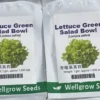 Green Salad Bowl lettuce Seeds