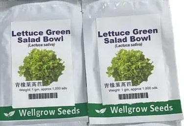 Green Salad Bowl lettuce Seeds