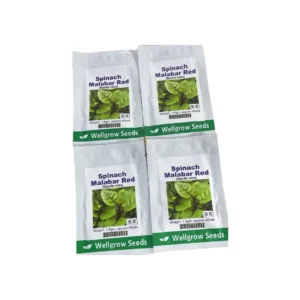 Malabar Red Spinach Seeds