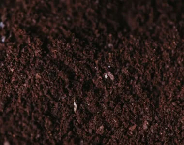 organic potting mix