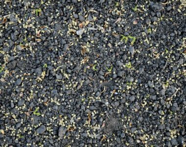 How to Optimize Crop Yields with Urea Fertilizer in 5 Simple Steps