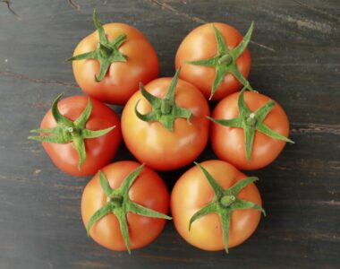 From Seed to Table: How to Grow the Best Tomato Seed varieties in 5 Easy Steps