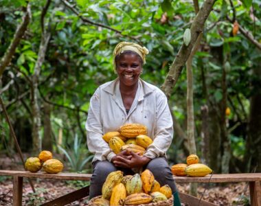 Cocoa Farming in Nigeria: Challenges and Opportunities