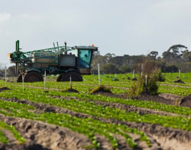 The Ultimate Guide to Natural Fertilisers for Plants: A Sustainable Approach to Farming