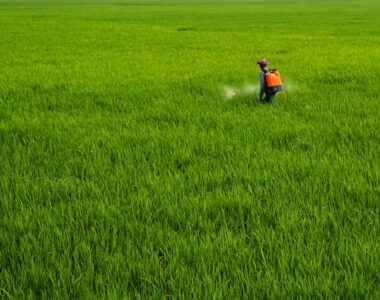 Advantages of Using 2 in 1 Rechargeable Knapsack Sprayers