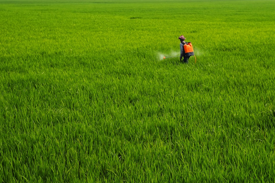 Advantages of Using 2 in 1 Rechargeable Knapsack Sprayers
