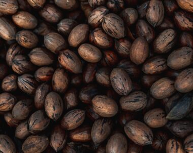 Step-by-Step Guide: Planting Castor Seeds in Nigeria