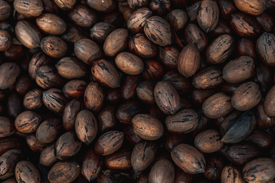 Step-by-Step Guide: Planting Castor Seeds in Nigeria
