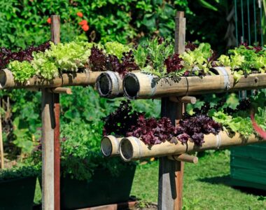 The Ultimate Guide to Setting Up Your Own Standalone Hydroponic Planter