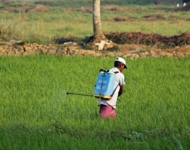 Organic Pest Control for Maize, Soybean, and Vegetable Crops