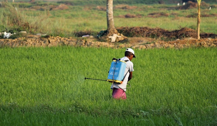 Organic Pest Control for Maize, Soybean, and Vegetable Crops